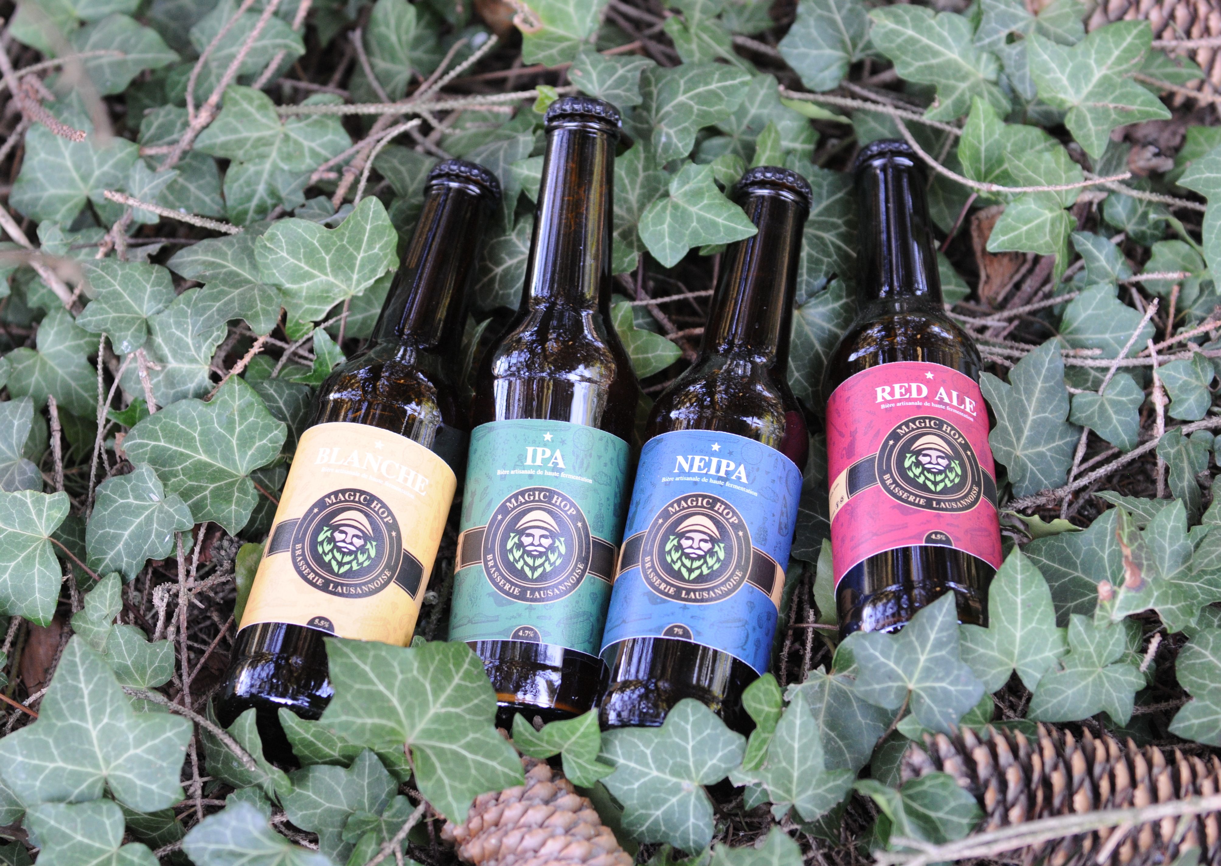 Quatre bouteilles de bière Magic Hop posées dans le lierre